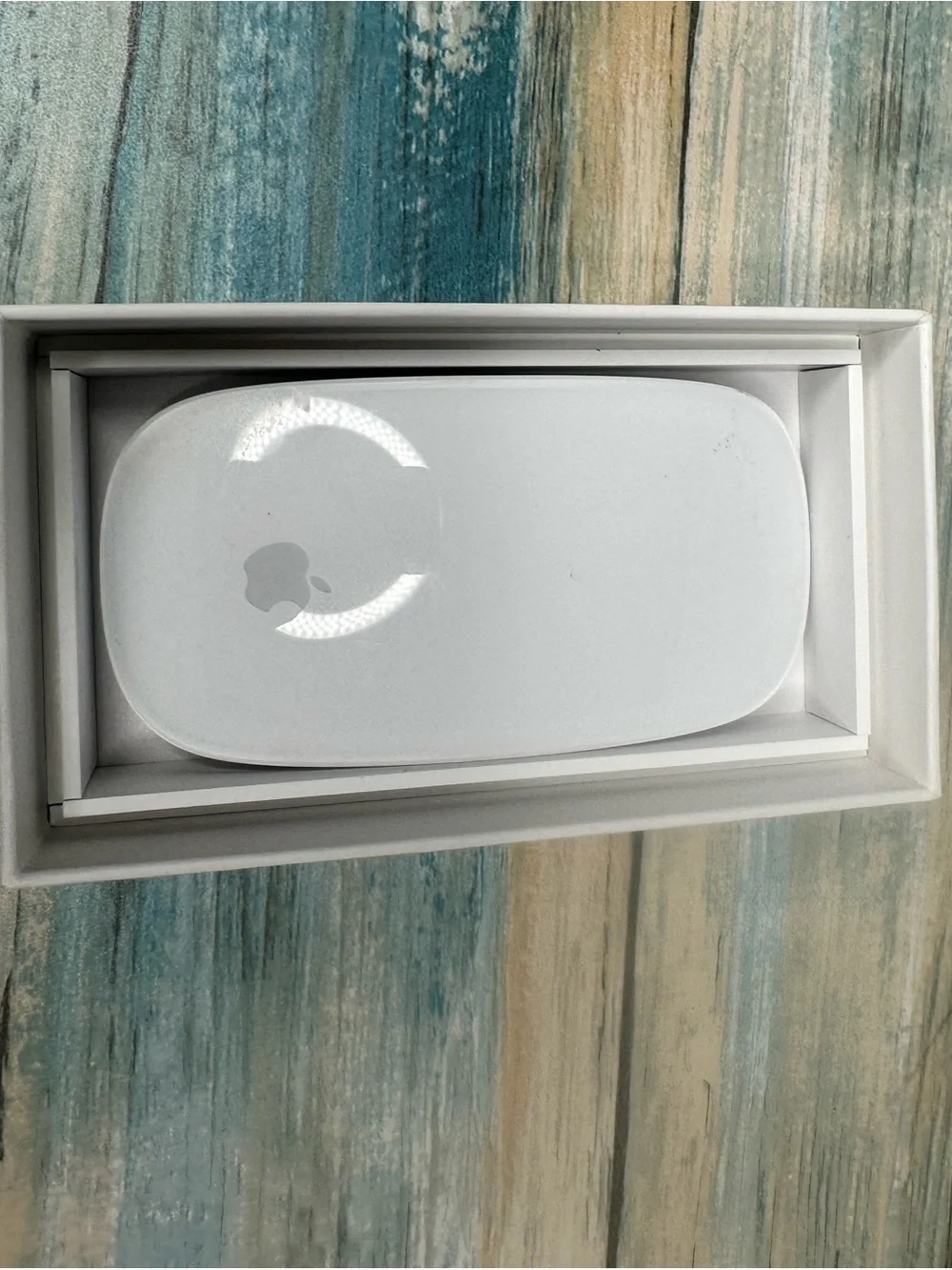 Apple Mouse (Not a phone accessory)